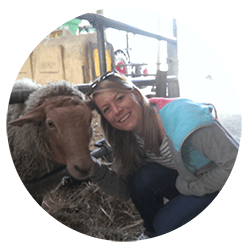verena_beispiel_Kreis